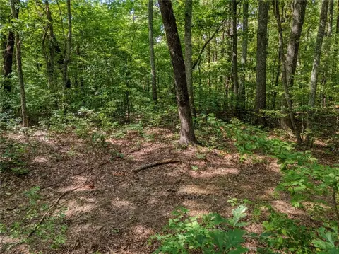 0 Clearview Dr, Jasper, GA 30143 photo 3