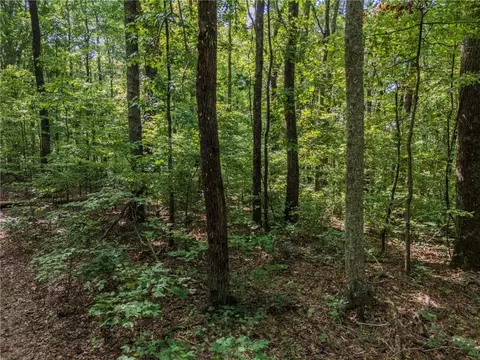 0 Clearview Dr, Jasper, GA 30143 photo 8