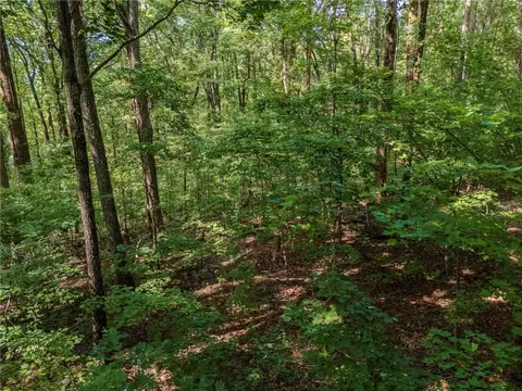 0 Clearview Dr, Jasper, GA 30143 photo 9