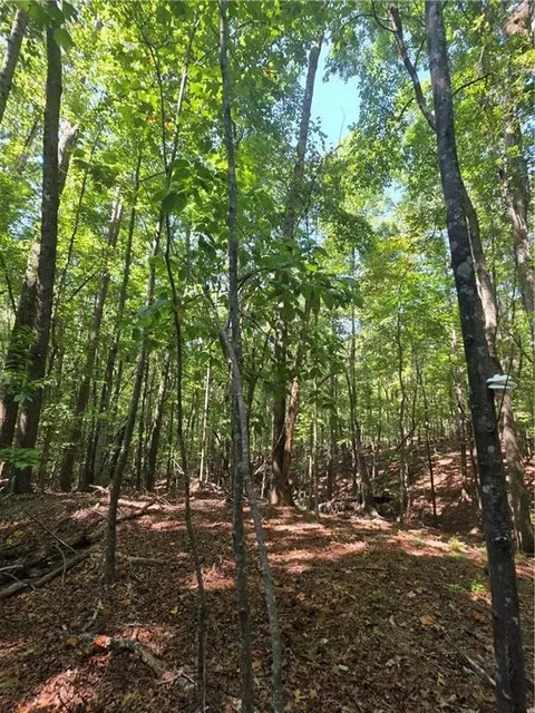 0 Browntown Rd, Rockmart, GA 30153