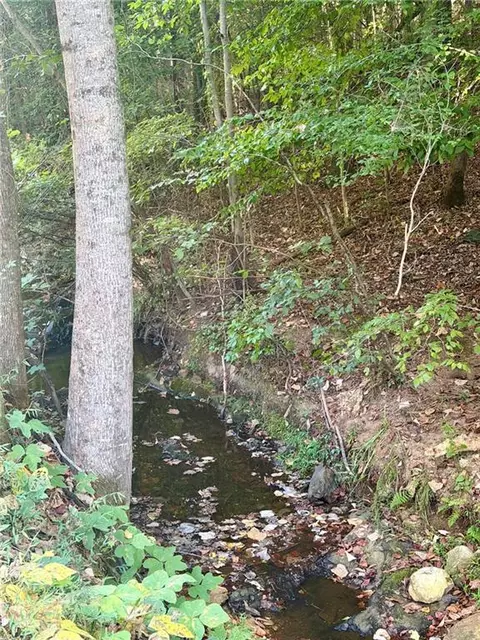 0 Old Roanoke Rd, Bowdon, GA 30108 photo 3