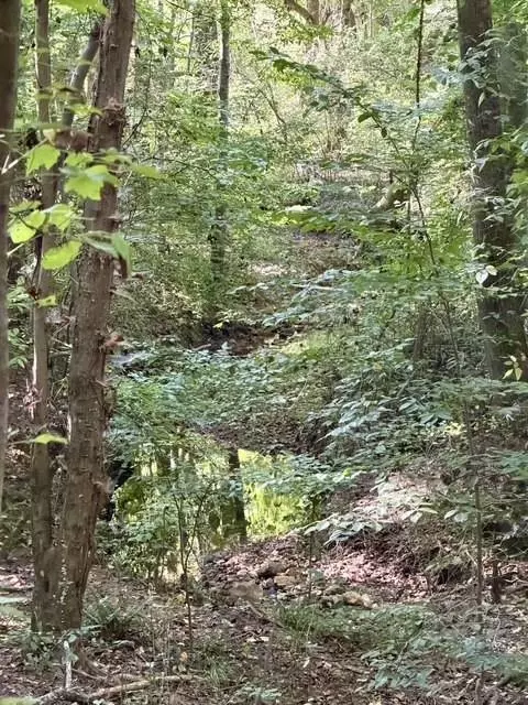 0 Old Roanoke Rd, Bowdon, GA 30108 photo 4