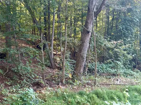 0 Old Roanoke Rd, Bowdon, GA 30108 photo 7