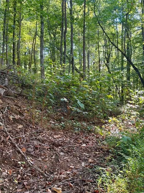 0 Old Roanoke Rd, Bowdon, GA 30108 photo 6