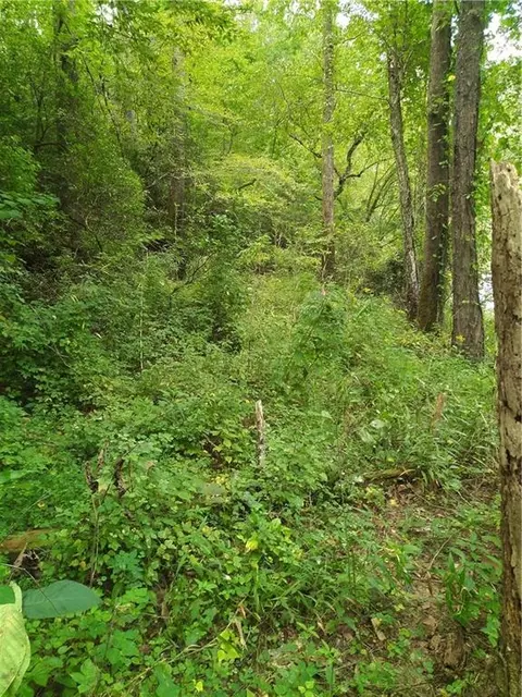 00 Marie, Talking Rock, GA 30540