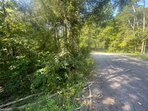 0 Apache, Martin, GA 30557 photo 8