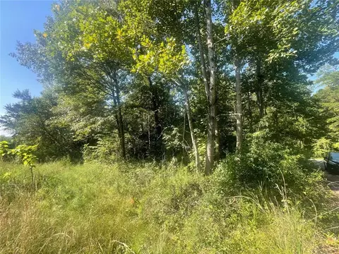 0 Apache, Martin, GA 30557 photo 7