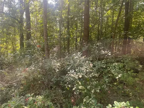 0 Apache Trl, Martin, GA 30557 photo 3