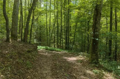 300 Sumac Ln, Ellijay, GA 30540