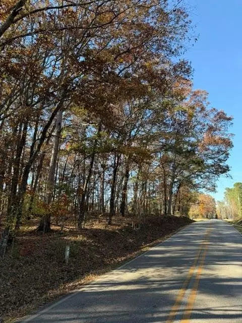 0 Adams Rd, Covington, GA 30014 photo 3