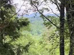 0 Blackhawk Pl, Jasper, GA 30143 photo 5