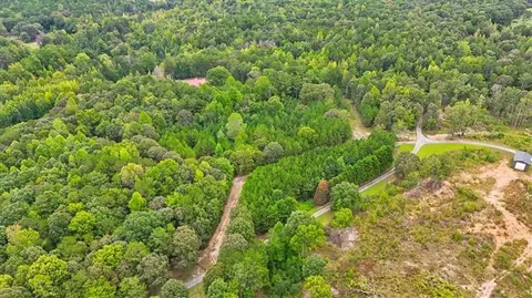 138 Roy Dean Rd, Buchanan, GA 30113 photo 10