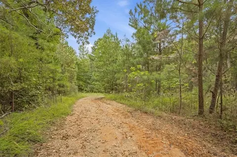 138 Roy Dean Rd, Buchanan, GA 30113 photo 23