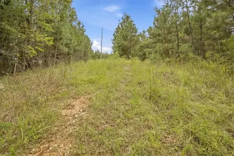 138 Roy Dean Rd, Buchanan, GA 30113 photo 33