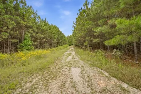 138 Roy Dean Rd, Buchanan, GA 30113 photo 21