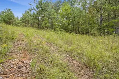 138 Roy Dean Rd, Buchanan, GA 30113 photo 32