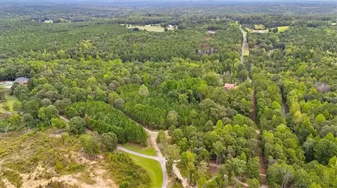 138 Roy Dean Rd, Buchanan, GA 30113 photo 5