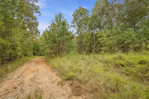 138 Roy Dean Rd, Buchanan, GA 30113 photo 34