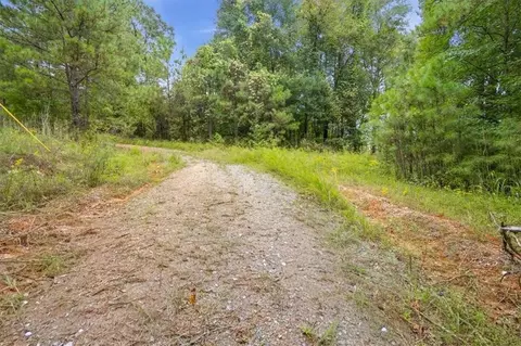 138 Roy Dean Rd, Buchanan, GA 30113 photo 26