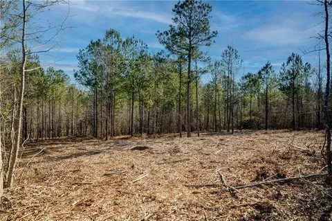 689 Moccasin Gap Rd, Jackson, GA 30233 photo 7