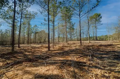 689 Moccasin Gap Rd, Jackson, GA 30233 photo 8