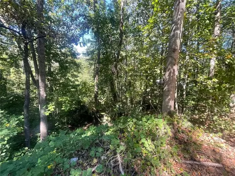 0 Eagle Ct, Toccoa, GA 30577 photo 4