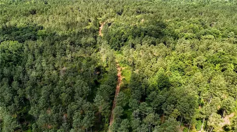 0 County Road 65, Fruithurst, AL 36269 photo 5