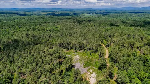 0 County Road 65, Fruithurst, AL 36269 photo 2