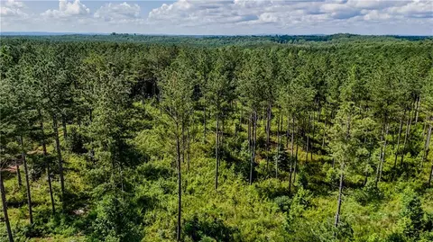 0 County Road 65, Fruithurst, AL 36269 photo 8