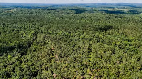0 County Road 65, Fruithurst, AL 36269 photo 3