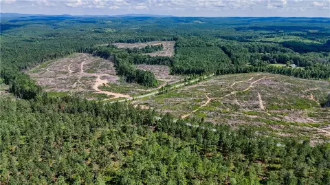 0 County Road 65, Fruithurst, AL 36269 photo 11