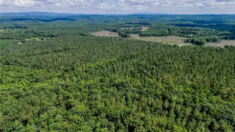 0 County Road 65, Fruithurst, AL 36269 photo 9