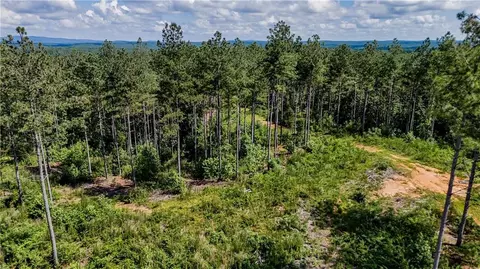 0 County Road 65, Fruithurst, AL 36269 photo 7