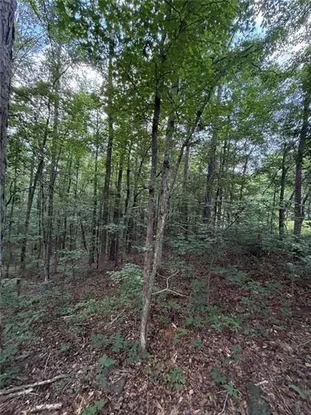 Other - 000 Serenity, Cataula, GA 31808 photo 11 of 20