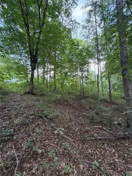 Other - 000 Serenity, Cataula, GA 31808 photo 4 of 20
