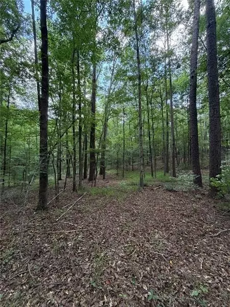 Other - 000 Serenity, Cataula, GA 31808 photo 14 of 20