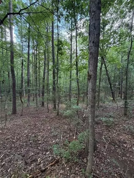 Other - 000 Serenity, Cataula, GA 31808 photo 5 of 20