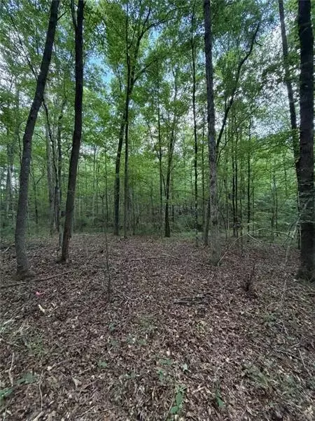 Other - 000 Serenity, Cataula, GA 31808 photo 6 of 20