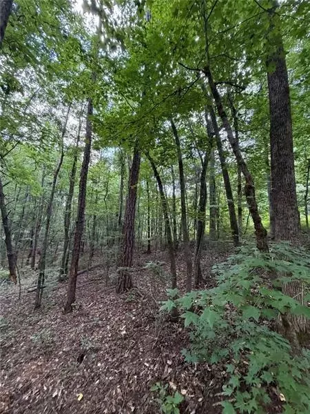 Other - 000 Serenity, Cataula, GA 31808 photo 7 of 20