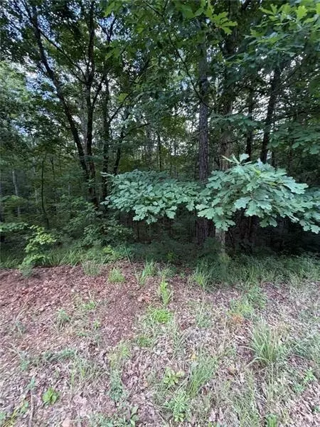 Other - 000 Serenity, Cataula, GA 31808 photo 9 of 20
