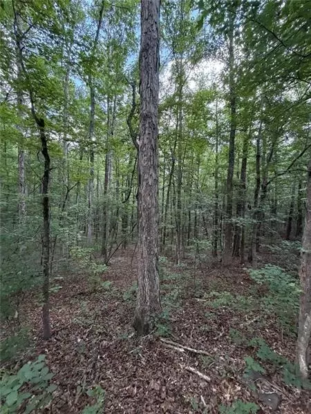 Other - 000 Serenity, Cataula, GA 31808 photo 10 of 20