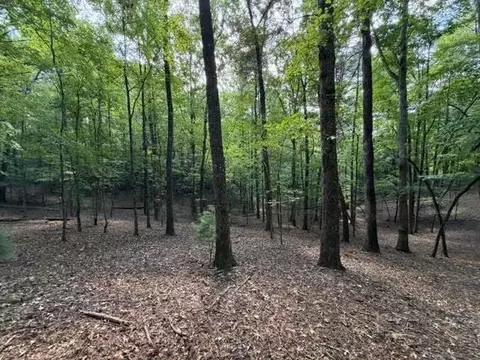 556 Satsuma Ct S, Ellijay, GA 30540