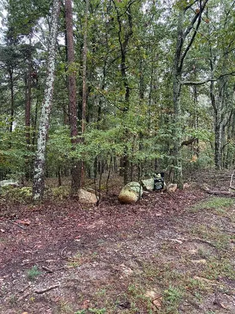 0 Quartz Ct, Jasper, GA 30143 photo 2