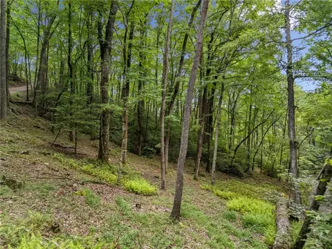 0 Paradise Ln, Blue Ridge, GA 30513