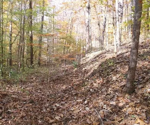 442 Laurel Mountain Dr, Toccoa, GA 30577 photo 8