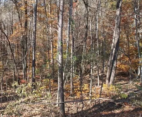 442 Laurel Mountain Dr, Toccoa, GA 30577 photo 12
