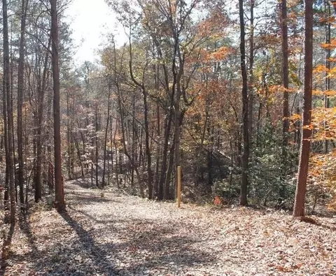 442 Laurel Mountain Dr, Toccoa, GA 30577 photo 16