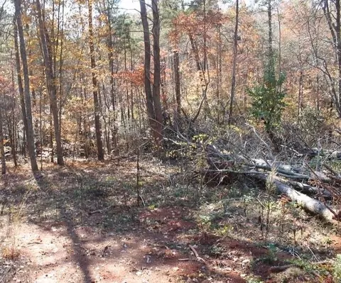 442 Laurel Mountain Dr, Toccoa, GA 30577 photo 5