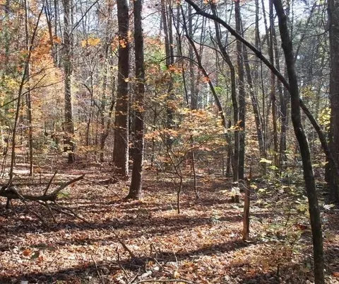 442 Laurel Mountain Dr, Toccoa, GA 30577 photo 6