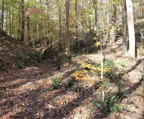 442 Laurel Mountain Dr, Toccoa, GA 30577 photo 13